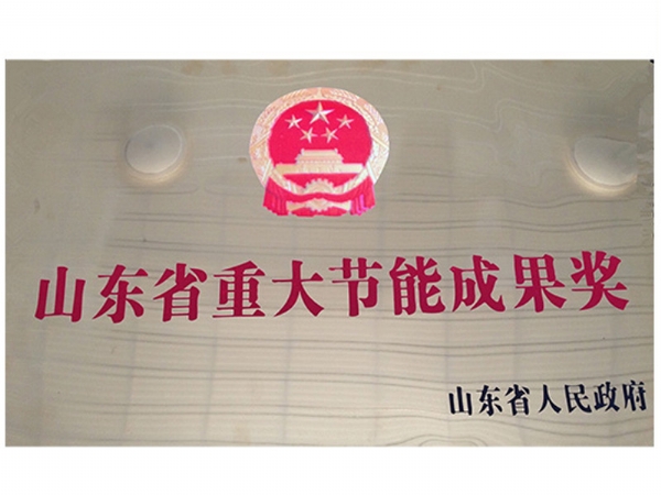 山東省重大節(jié)能成果獎(jiǎng)